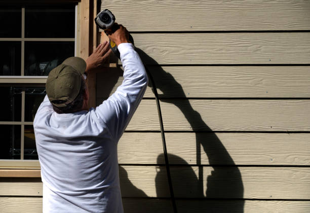 Best Historical Building Siding Restoration  in Ada, MN